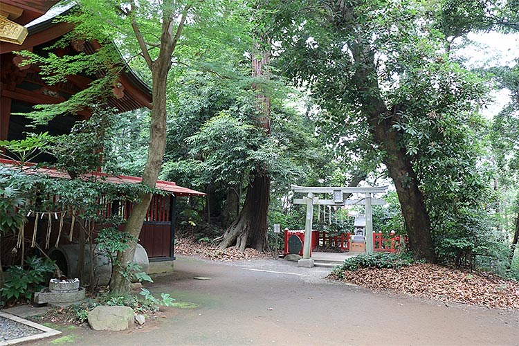 古民家カフェきのこくらぶ-麻賀多神社の裏手
